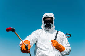 Best Residential Pest Control  in Stonewall, LA